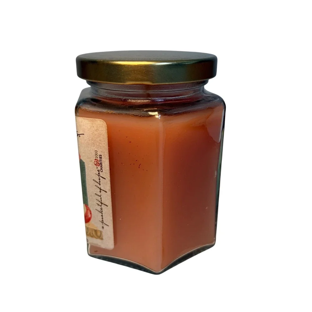 Home Interiors Caramel Apple 2003 Orange Glass Vintage Scented Candle 7.5oz New